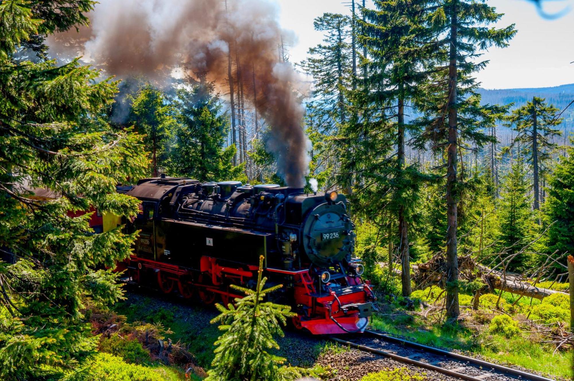 Regiohotel Harzresidenz Wernigerode Luaran gambar